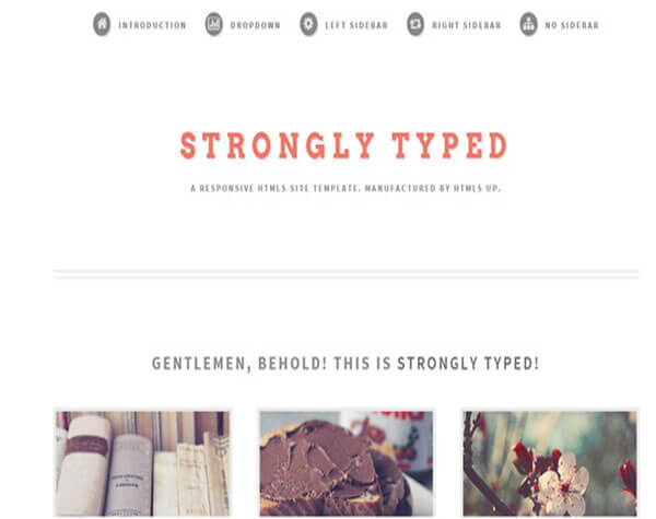 Strongly HTML5 CSS3 Website